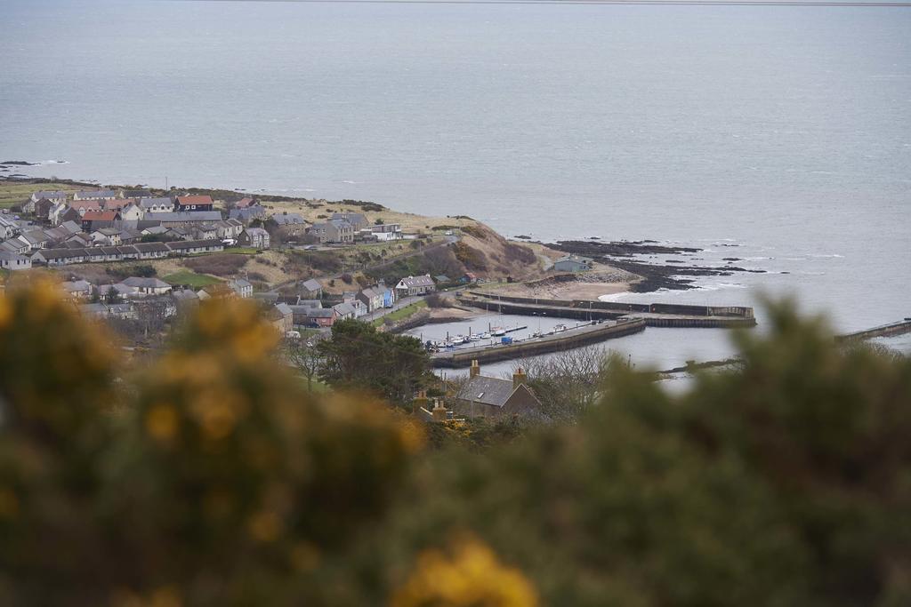 Piper'S Cave Bed And Breakfast Helmsdale Dış mekan fotoğraf